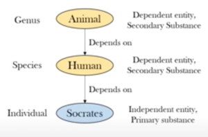 Aristotles Genus Species Individual.png